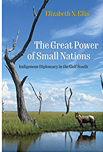 Elizabeth N. Ellis, The Great Power of Small Nations: Indigenous Diplomacy in the Gulf South (Penn Press, 2022)